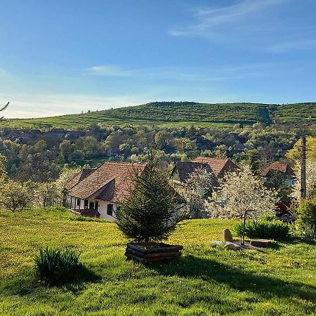 Siklod. Csaba Vendeghaz Otel Dış mekan fotoğraf